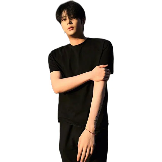 weles T