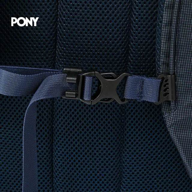 PONY20L Logo