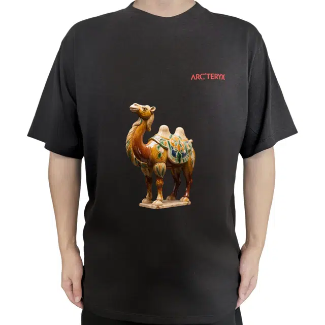 Arcteryx KRAGG SL LogoT