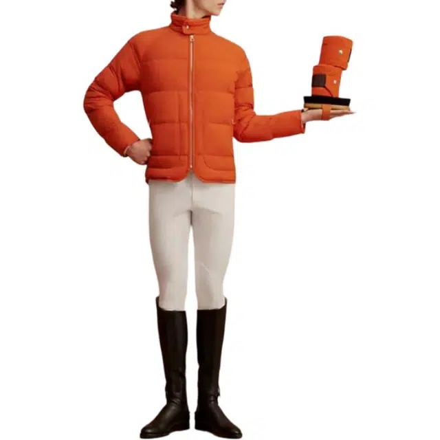 HERMES