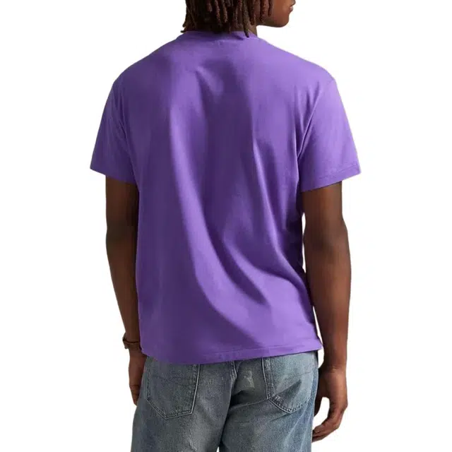 Polo Ralph Lauren T