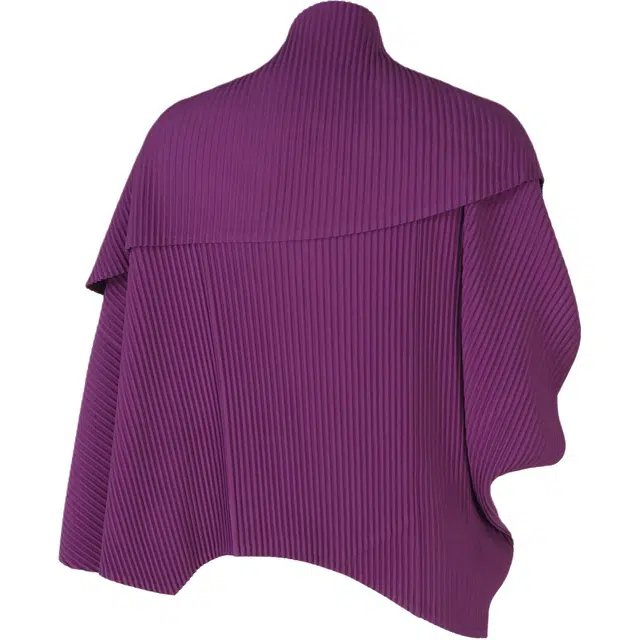 Homme Pliss Issey Miyake FW25
