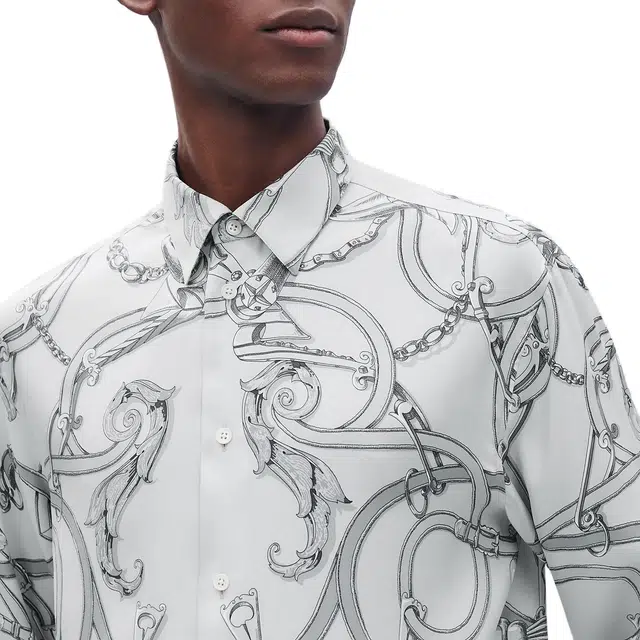 HERMES