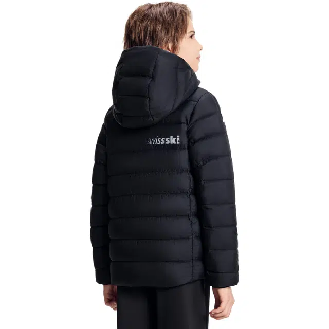 DESCENTE SKI STYLE logo