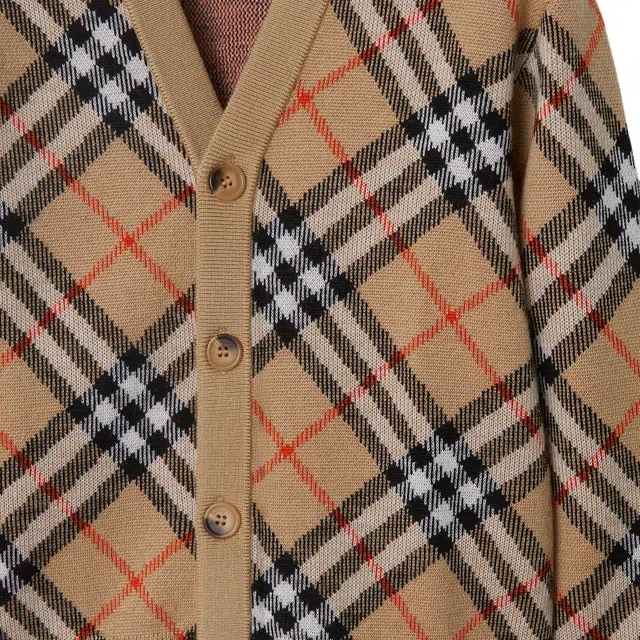 BurberryFW24 V