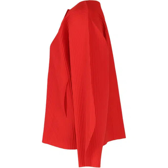 ISSEY MIYAKE FW25