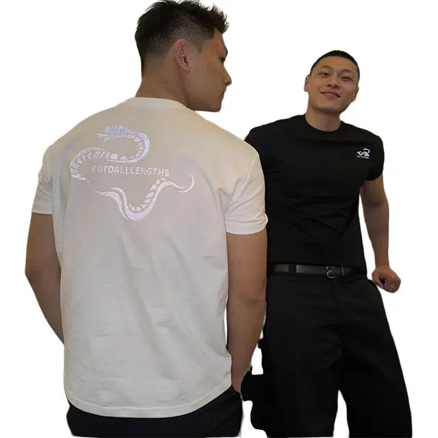 PAINT STAIN T