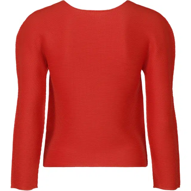 ISSEY MIYAKE FW25T