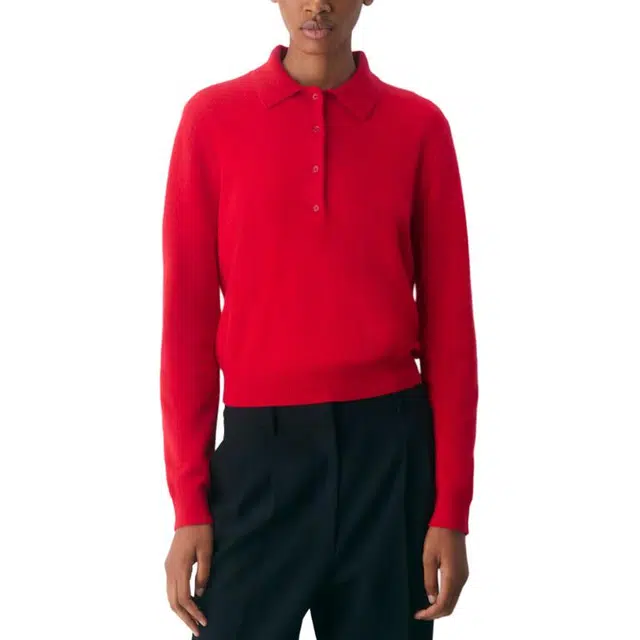 ARITZIA FW25 Bare Cashmere Polo Longsleeve