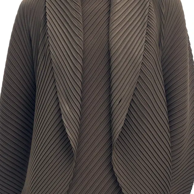 ISSEY MIYAKE FW25