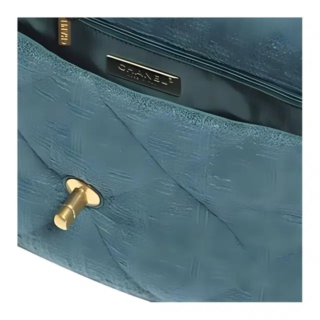 CHANEL 19Bag