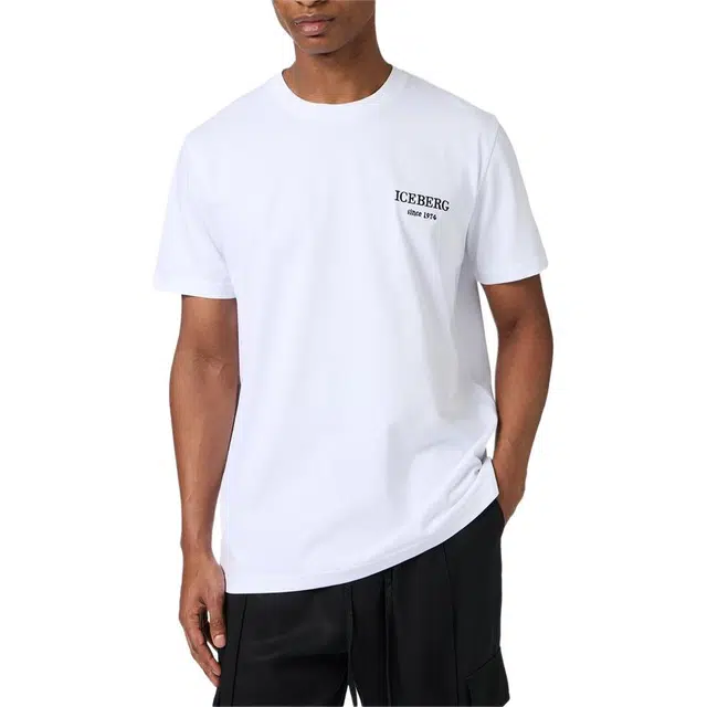 iceberg T
