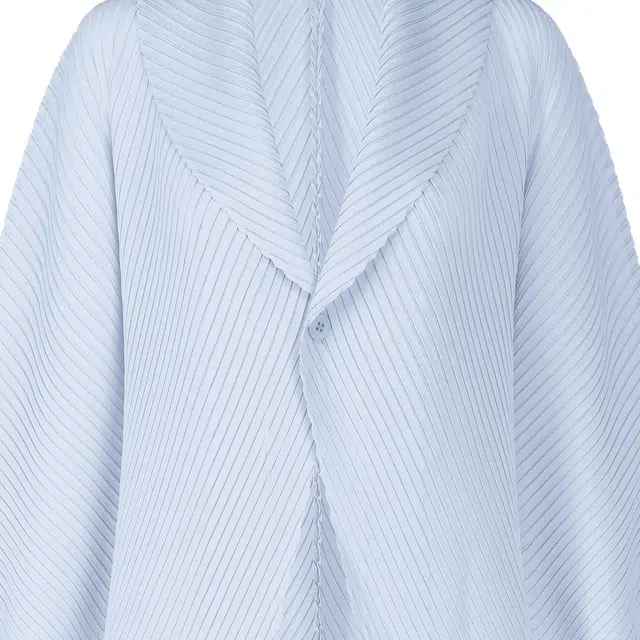 ISSEY MIYAKE FW25