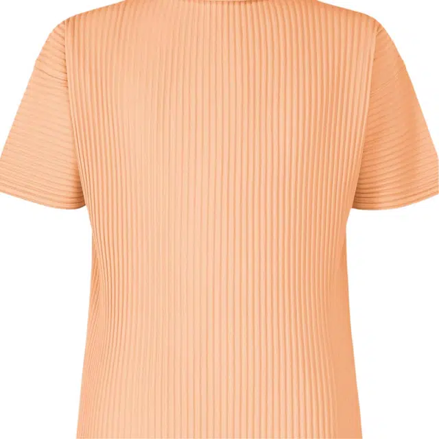 Homme Pliss Issey Miyake T
