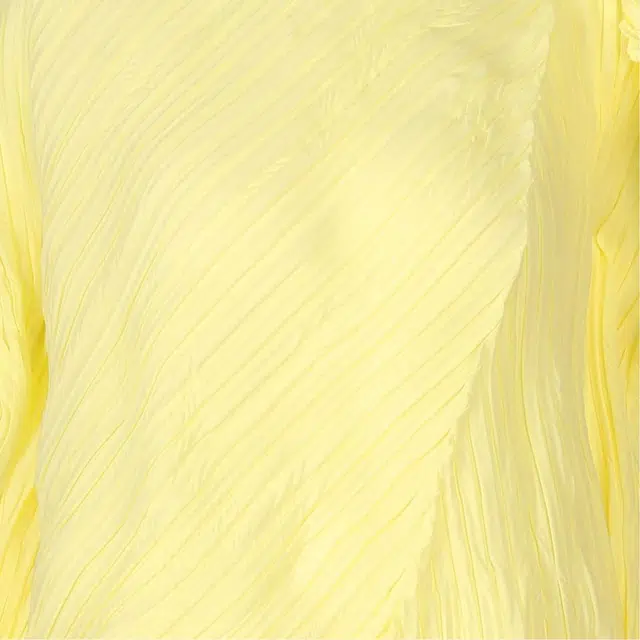 ISSEY MIYAKE SS25