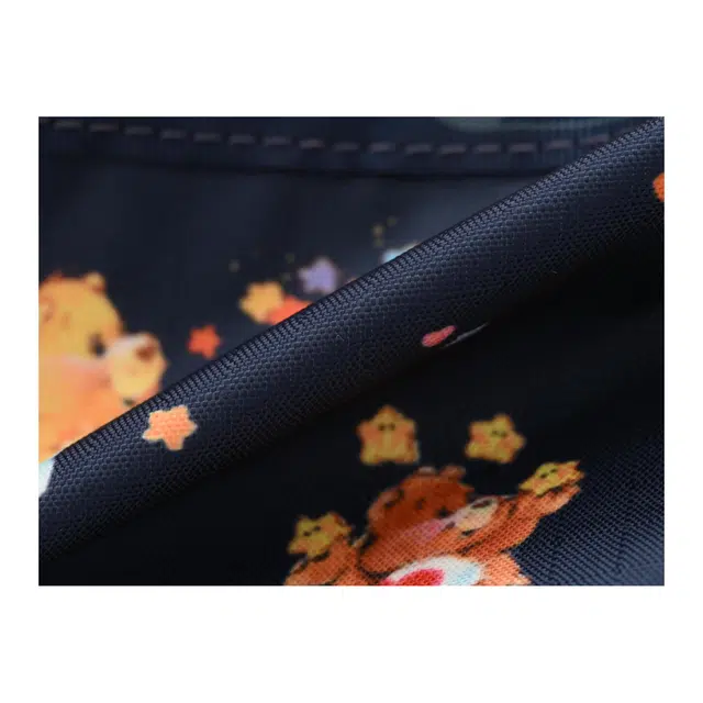 LeSportsac CAREBEARS