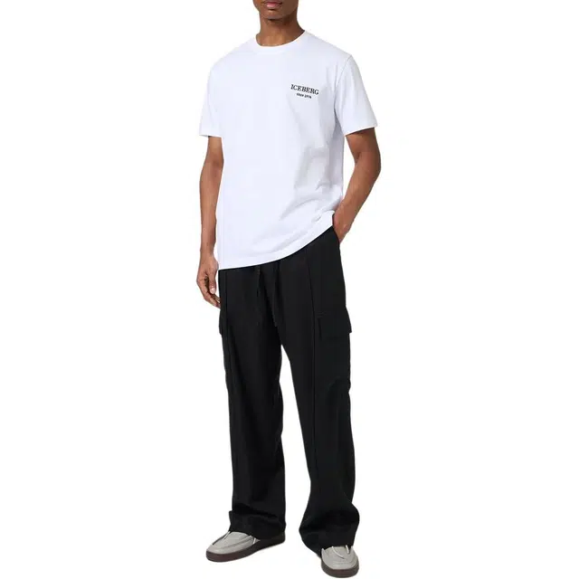 iceberg T