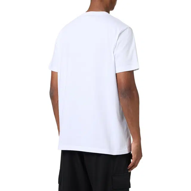 iceberg T
