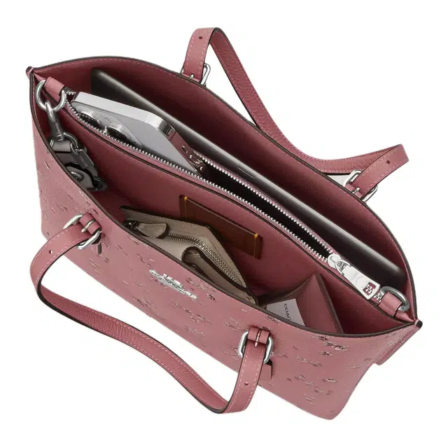 COACH Mollie Tote Bag