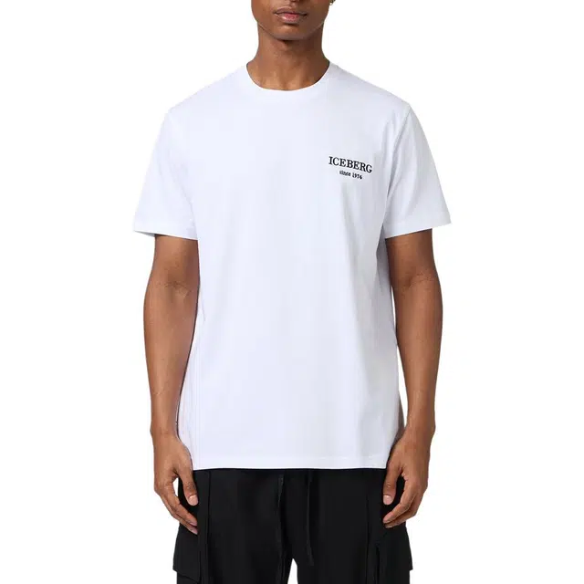 iceberg T