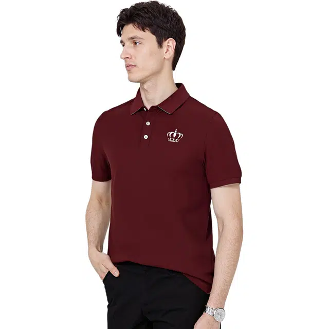 ANDEZHANMUSI LOGOPolo