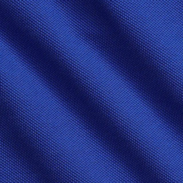Ralph LaurenPolo