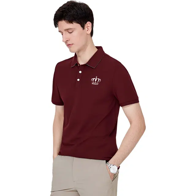 ANDEZHANMUSI LOGOPolo