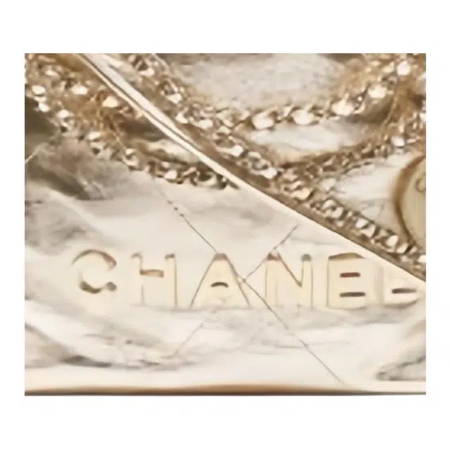 CHANEL 22Bag 25C
