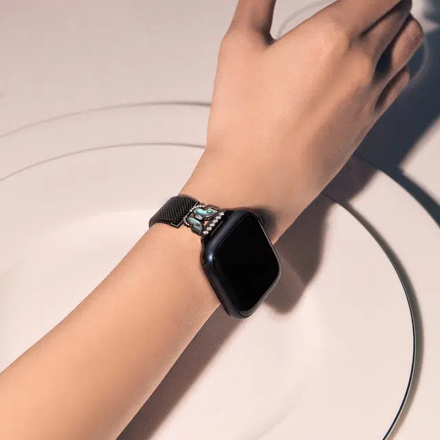 ZEGL 17.3cm iwatch