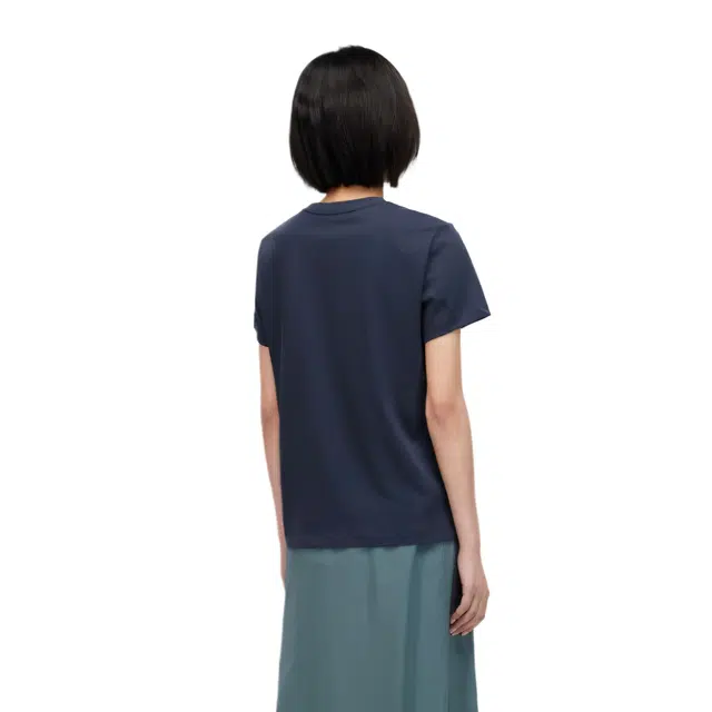 AIGLE T