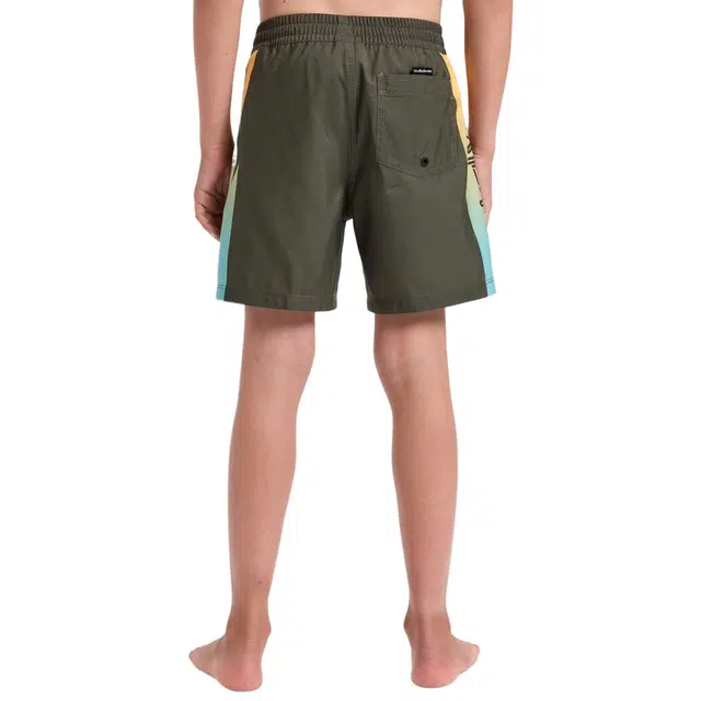 Quiksilver Everyday Holmes