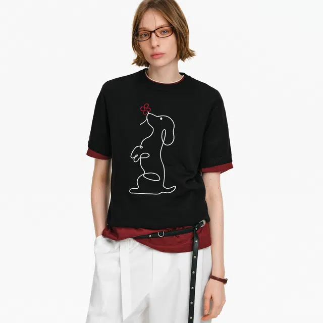 PCLP T