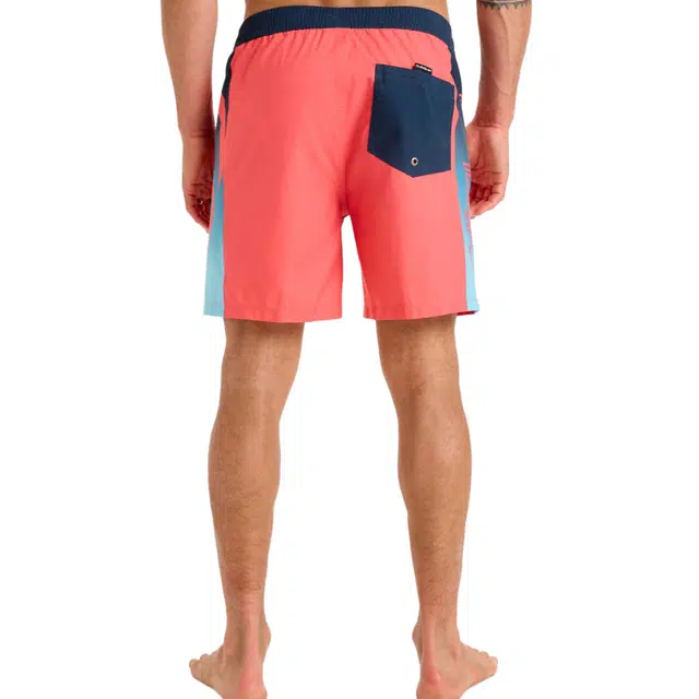 Quiksilver Everyday Holmes