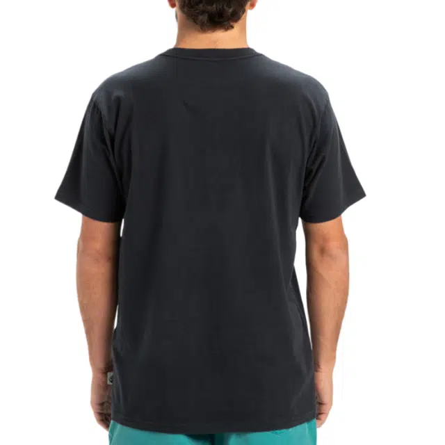 Quiksilver Salt Water T