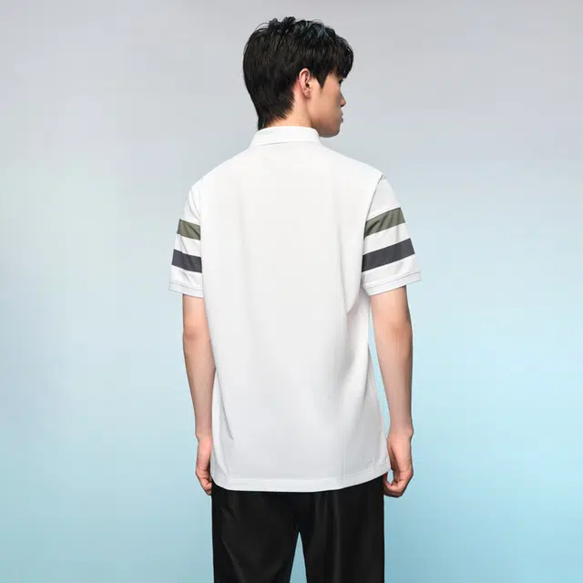 HLA POLO