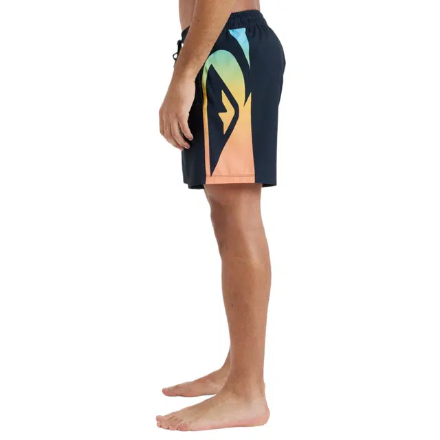 Quiksilver Everyday Holmes