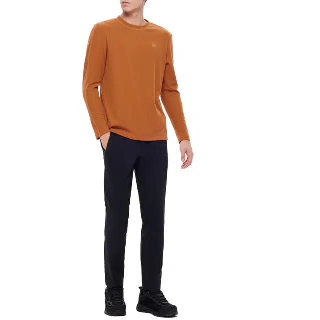 AIGLE T