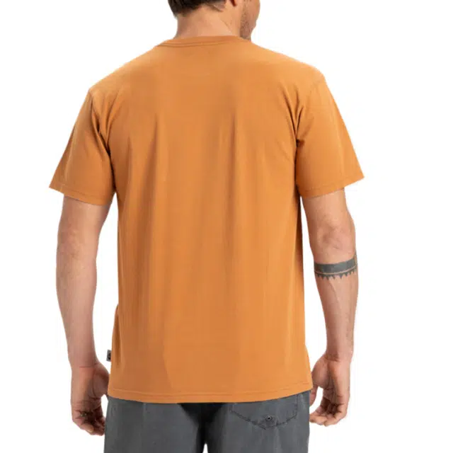 Quiksilver Salt Water T