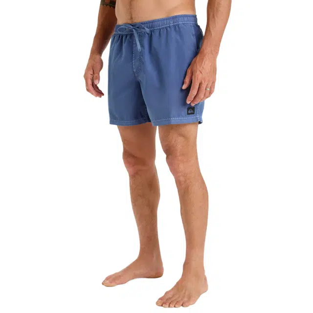 Quiksilver Everyday Surfwash Volley 15