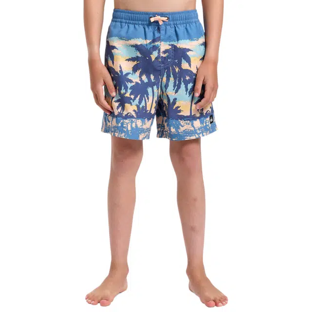 Quiksilver Everyday