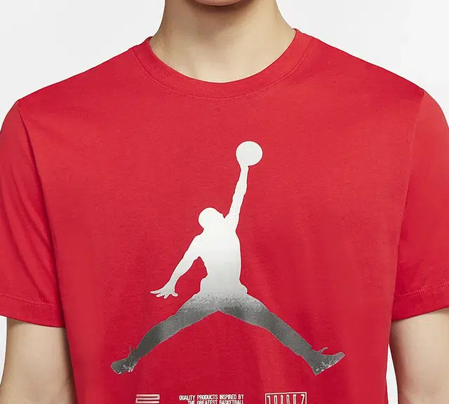 Jordan Legacy AJ11 T