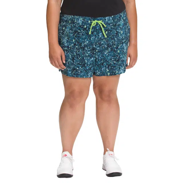 THE NORTH FACE FlashDry