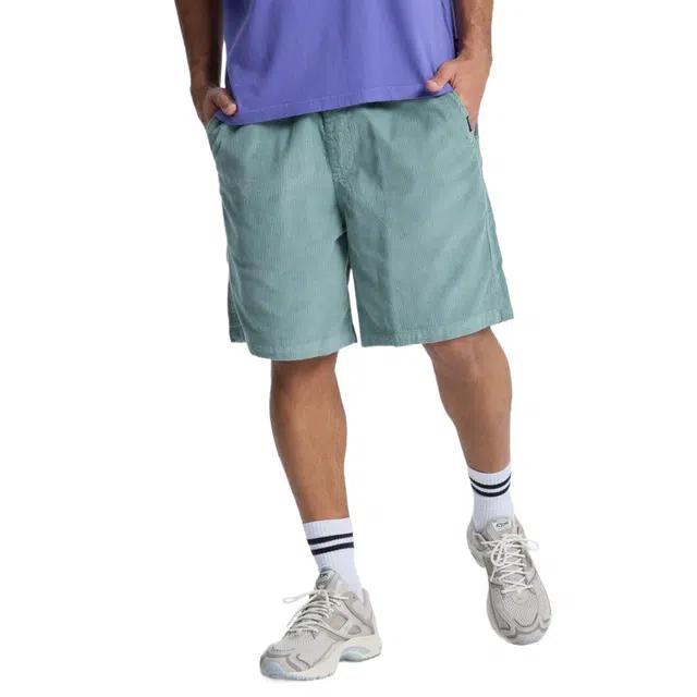 Quiksilver Taxer 18"