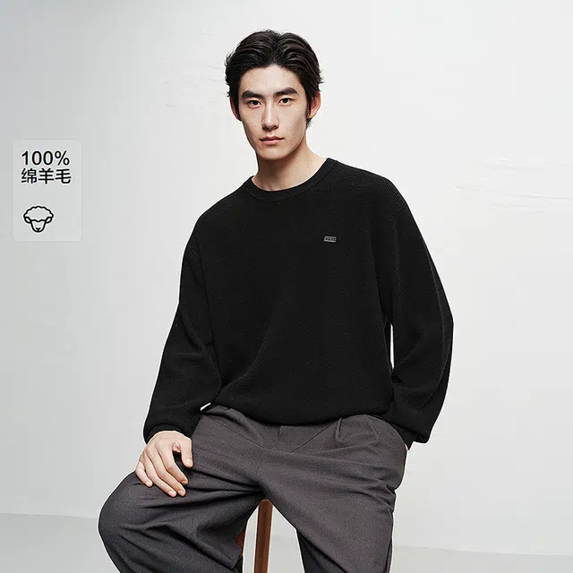 PEACEBIRD MEN Wool Pullover Sweater
