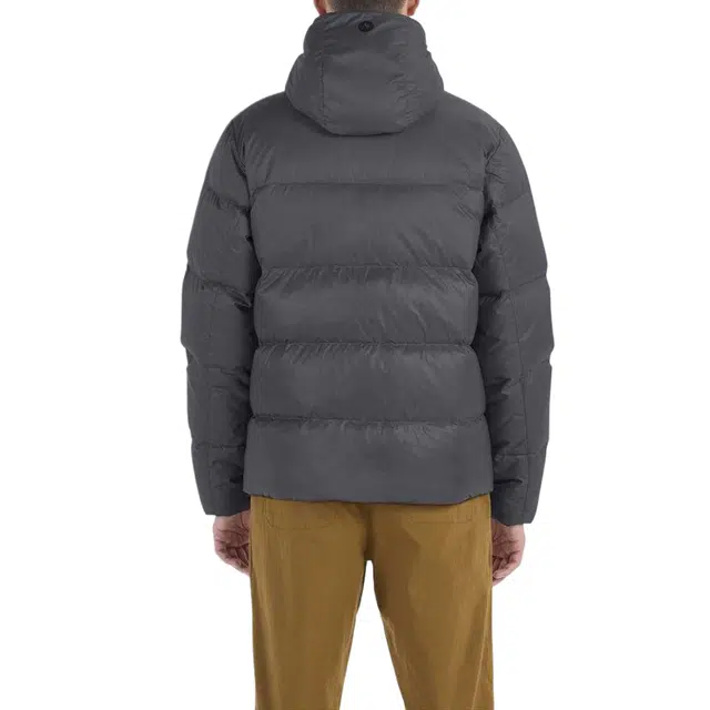 Marmot