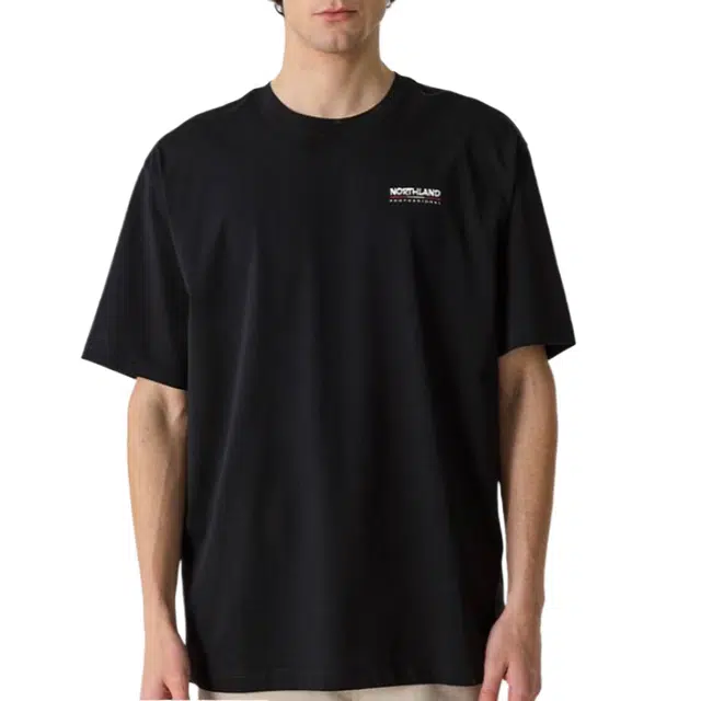 NORTHLAND PROFESSIONAL T