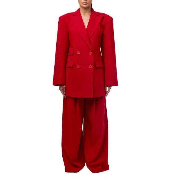 NAKED WARDROBE Suiting Pleated Wide-Leg Pant