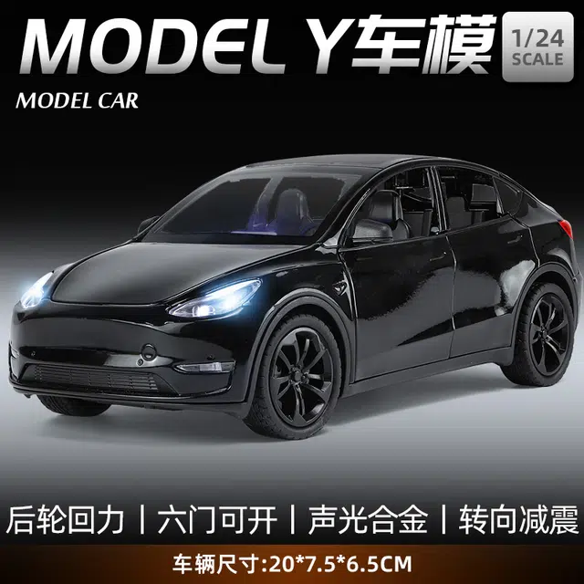 TY MODELS Model Y 124