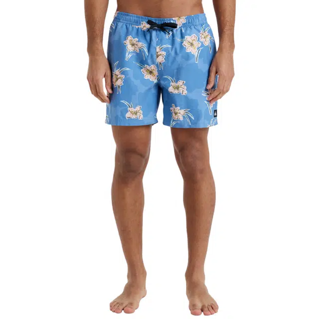Quiksilver Everyday Straight