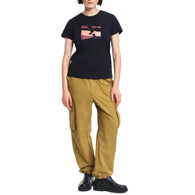 AIGLE T